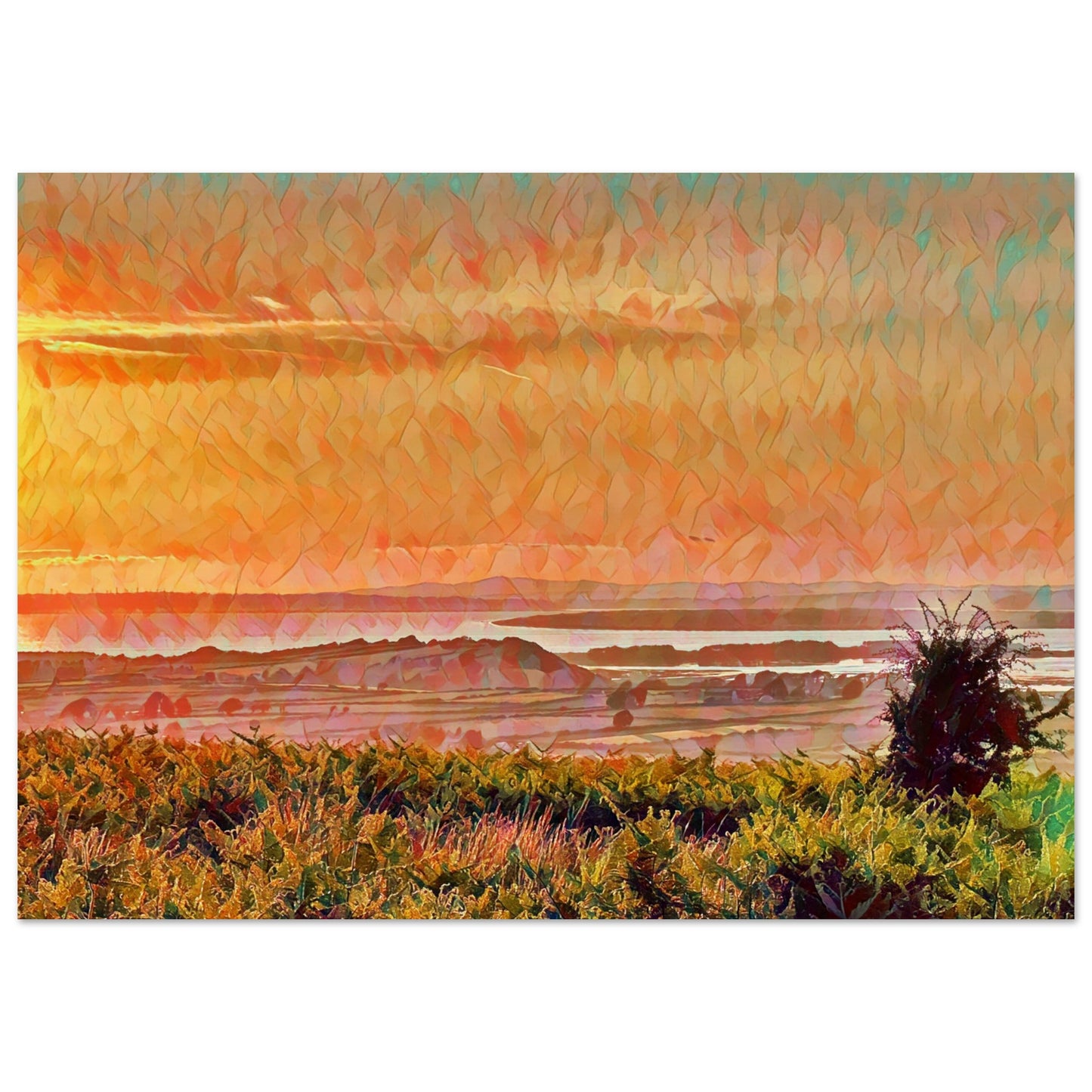 8307b467-4cfa-4d57-ad26-9d00e48025bb