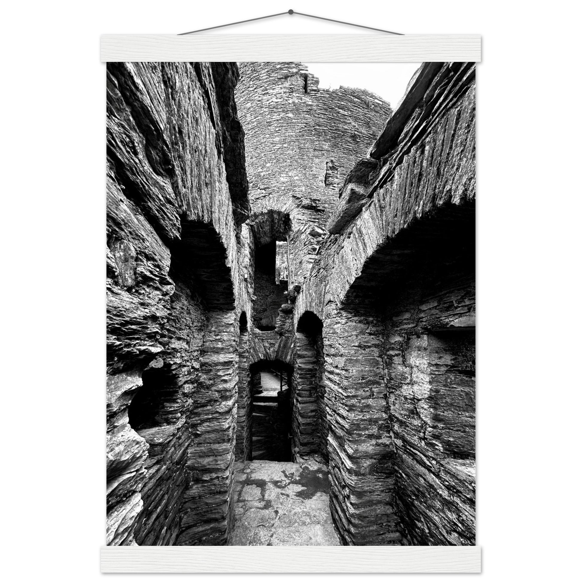 837e19ba-0b49-4230-b75f-1403879ded51