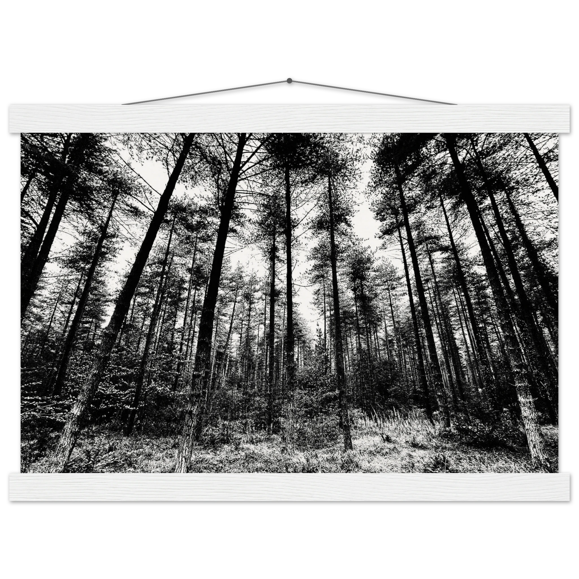 85f31aa3-b2dc-46ed-aab6-324e5acd2cdd