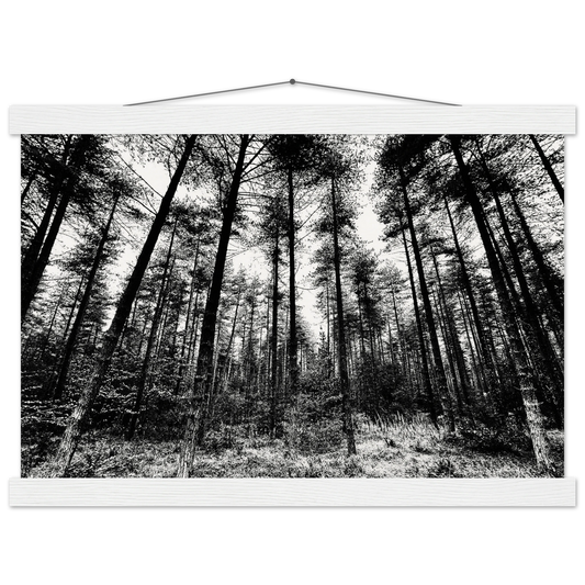 85f31aa3-b2dc-46ed-aab6-324e5acd2cdd