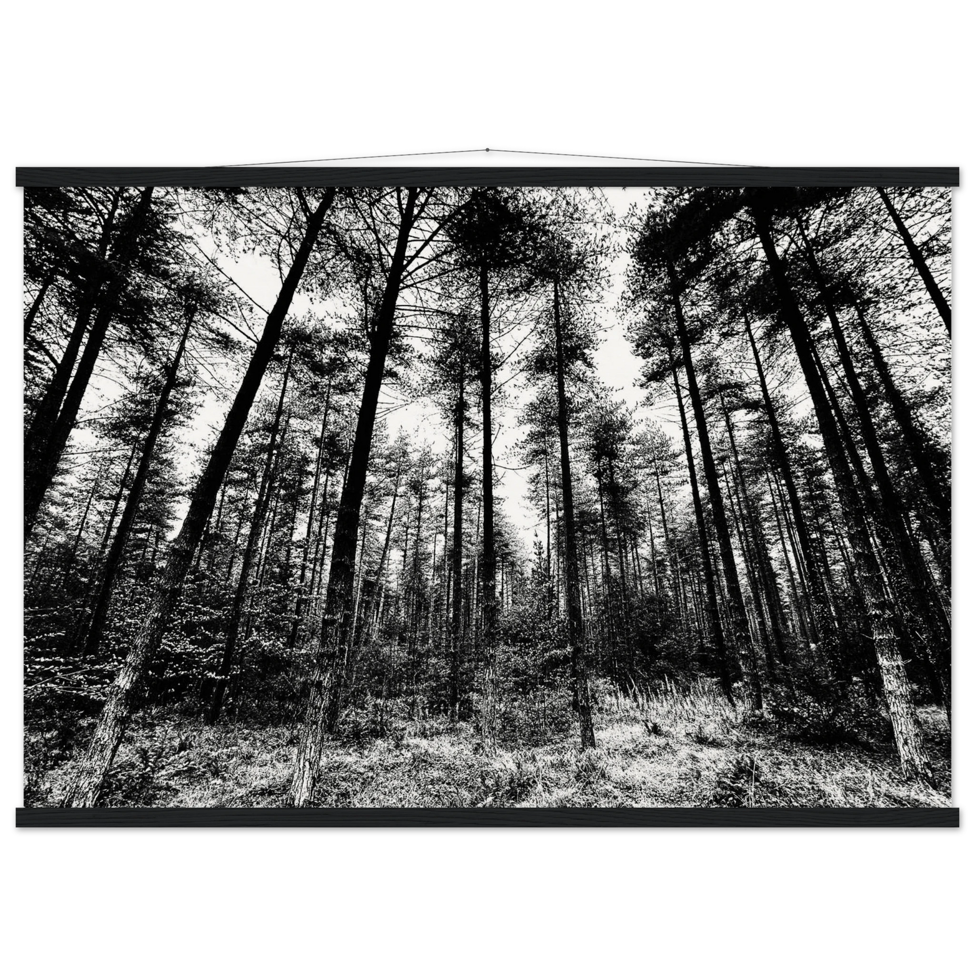 889b6f86-ec07-492d-b4ad-fbdfc2fbf7e5