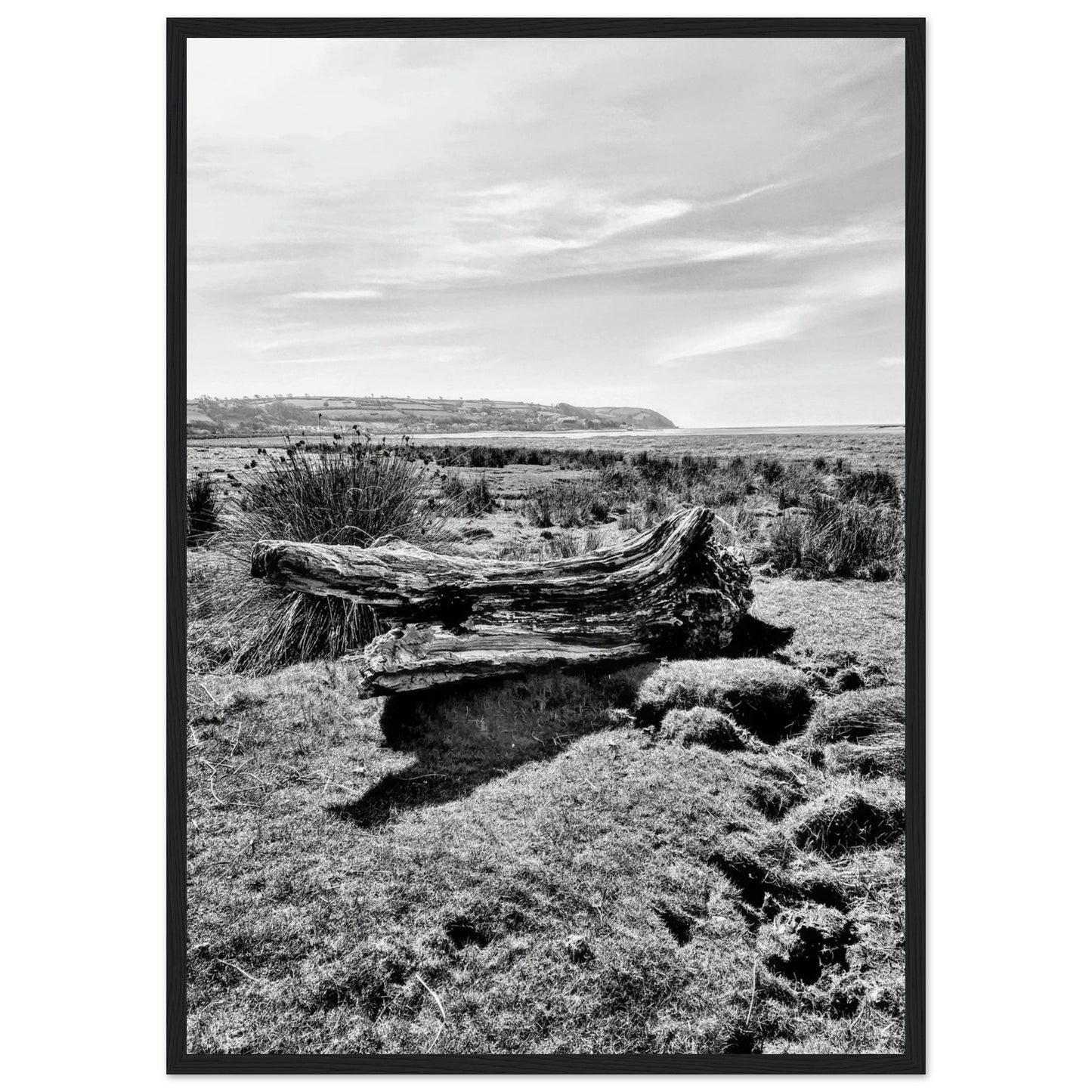 8a31a61f-d092-4071-a3dc-bd10f4fb27bb