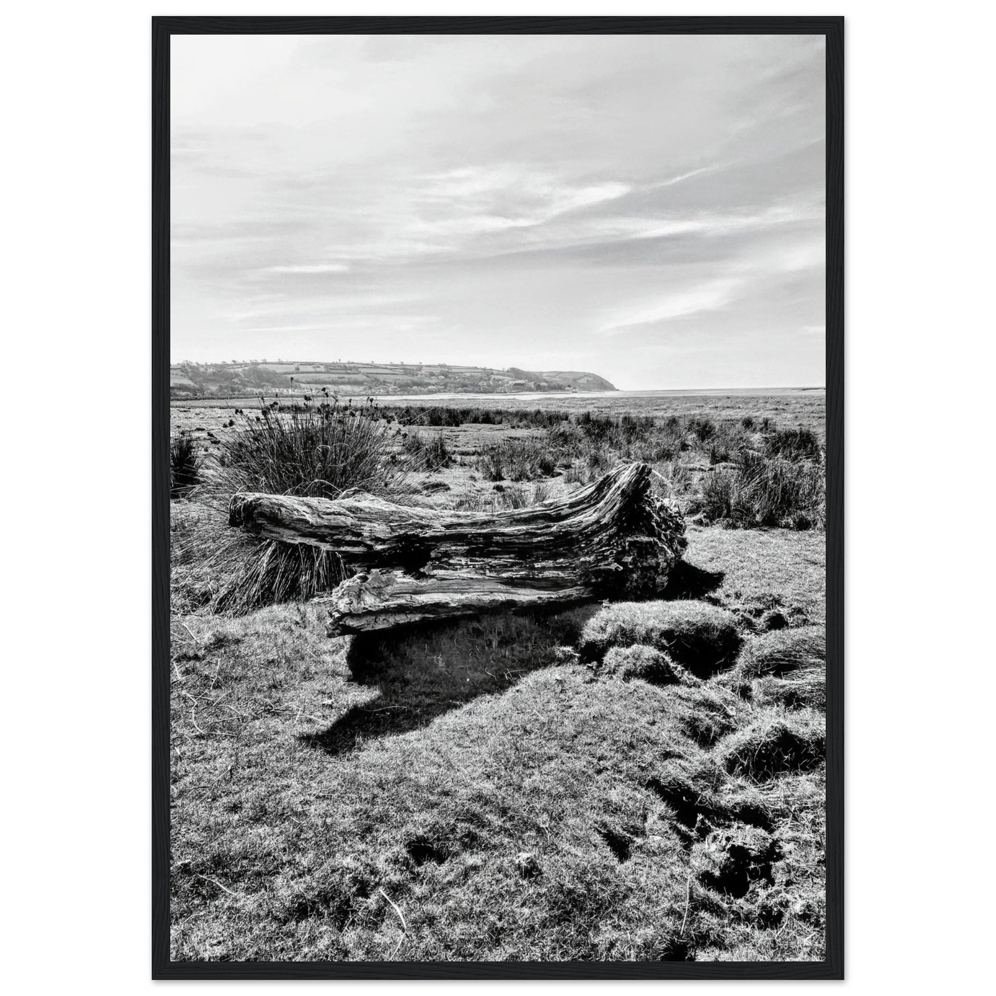 8a31a61f-d092-4071-a3dc-bd10f4fb27bb