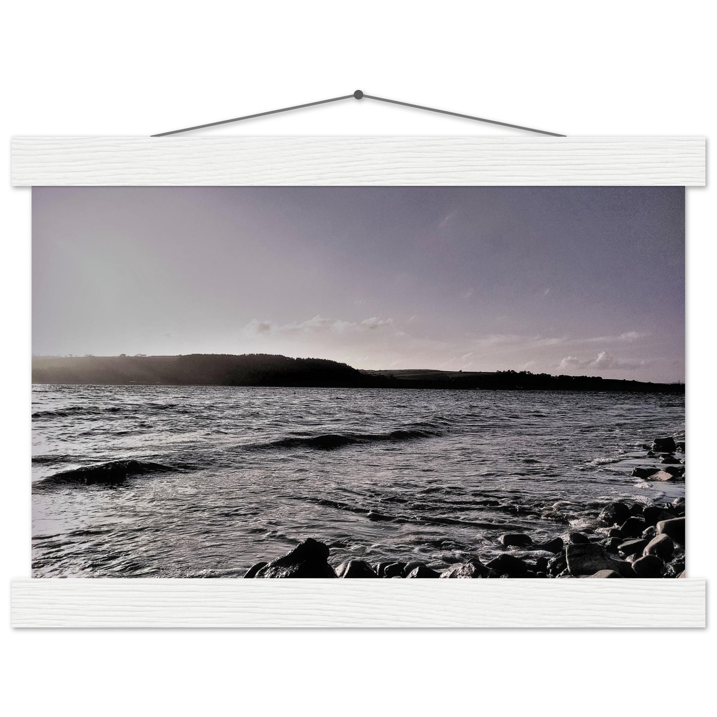 8c94a46b-ac28-477d-836e-c76505774f32