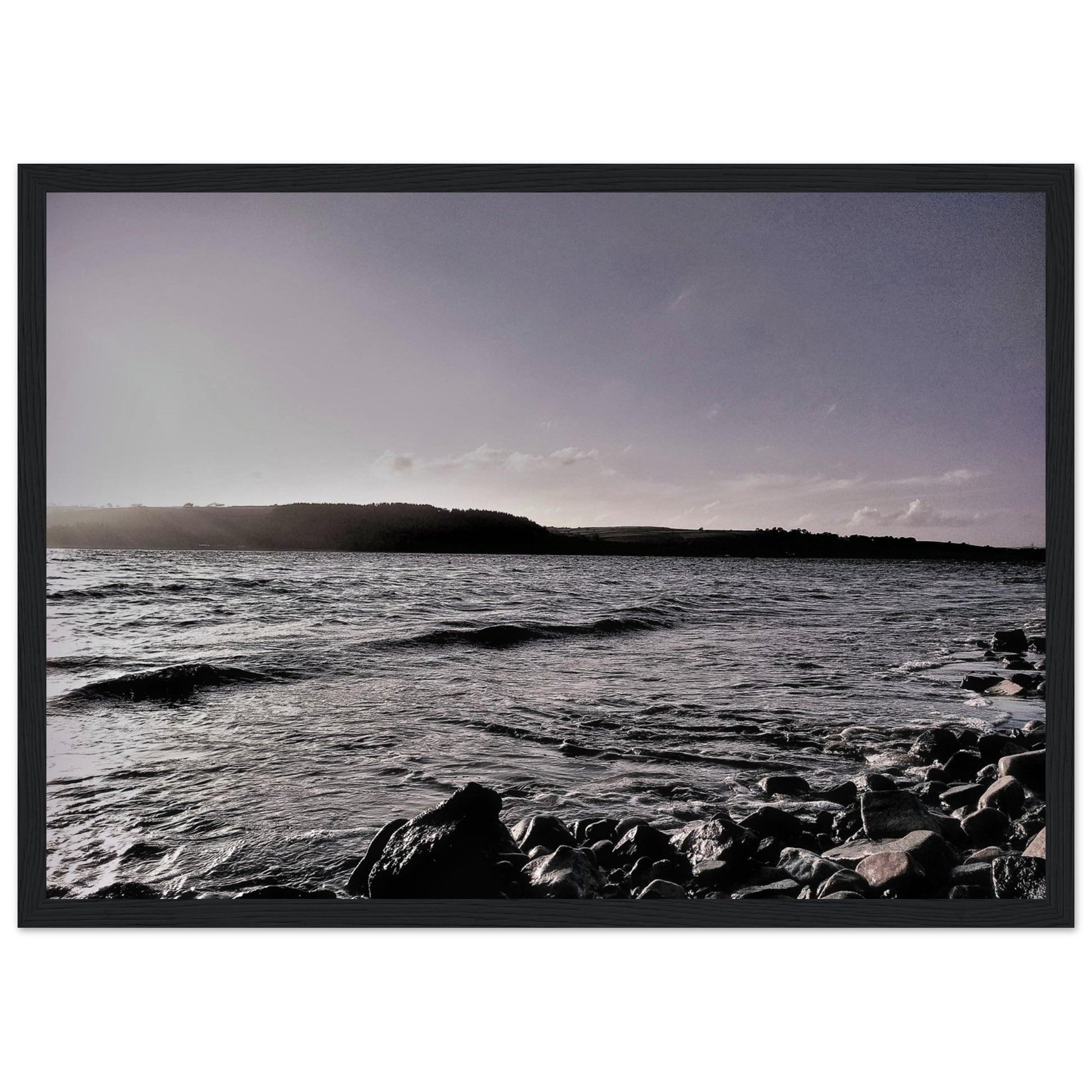 8d02fb59-2595-4b0c-8eed-f2fa49338d4c