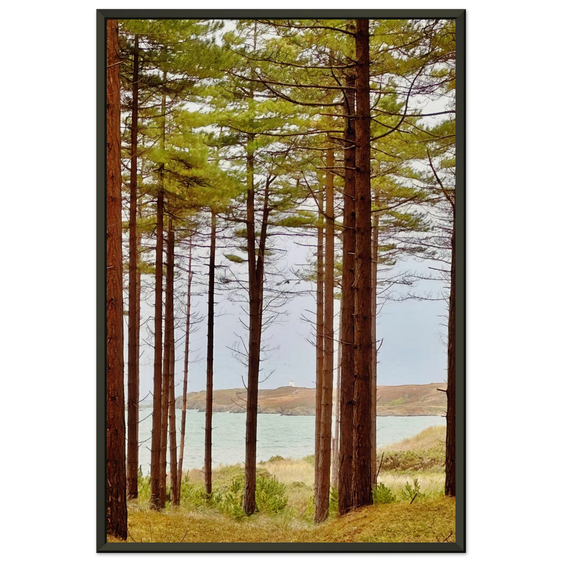 8d2512f7-02f1-4aae-b132-7d99dff6fc24