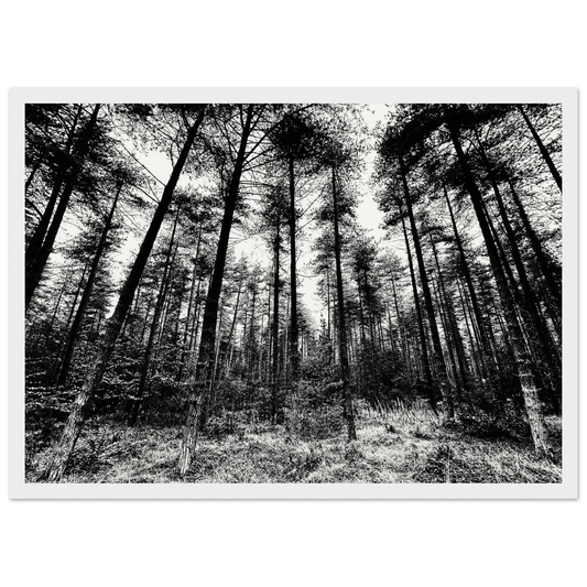 90d6b5cd-060f-415e-a3cf-a064294e7595