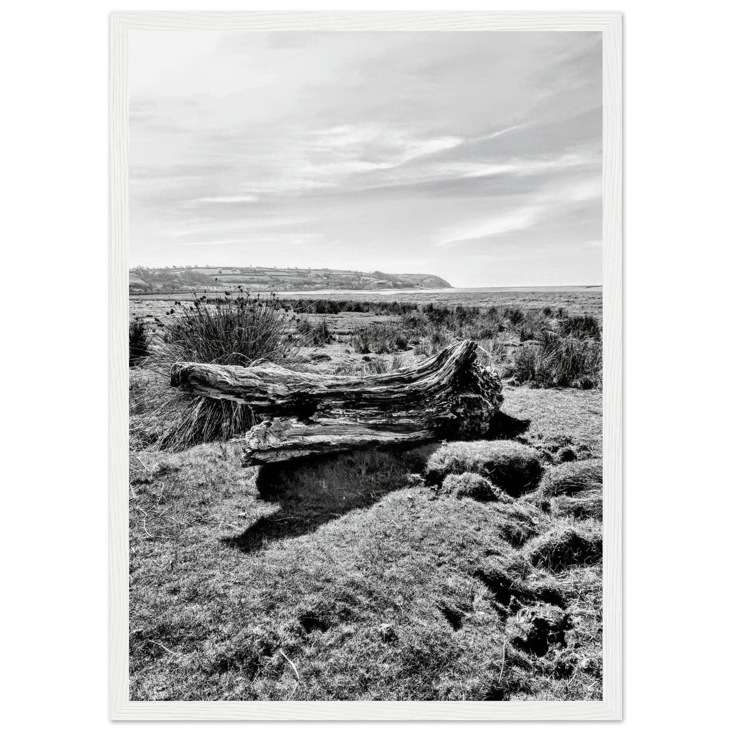 90e1b6ee-b104-40c2-904c-9c12bc4c4419