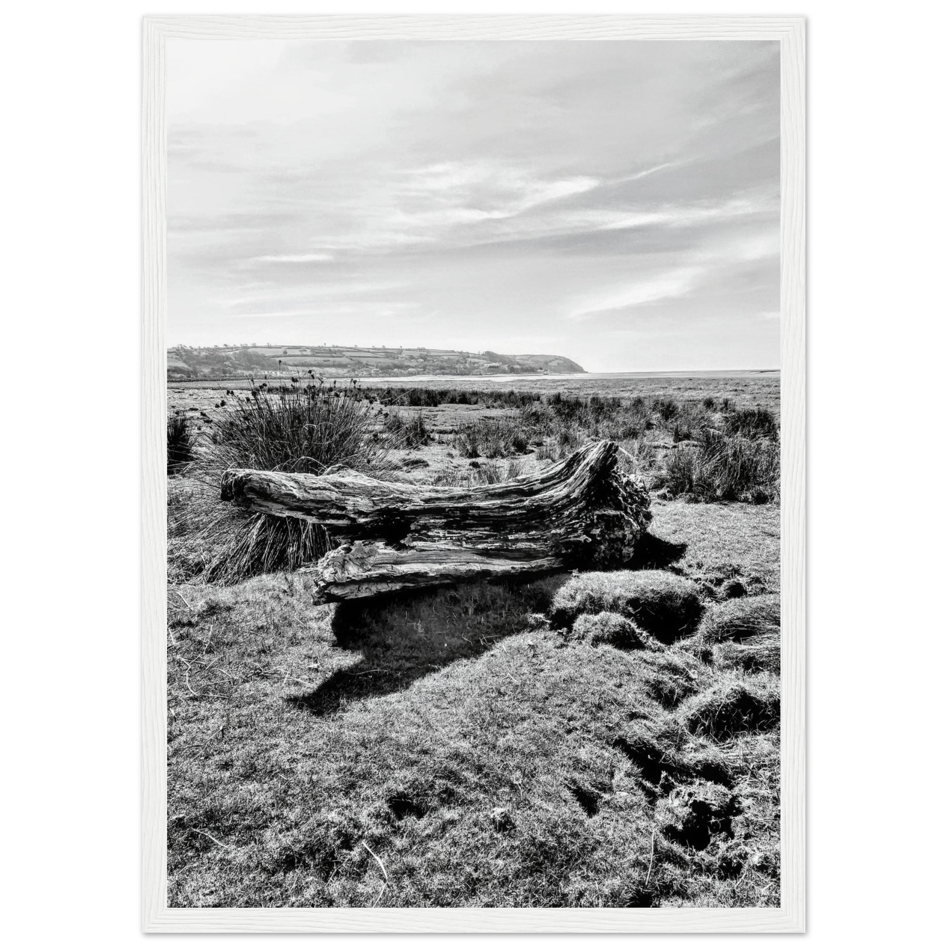 90e1b6ee-b104-40c2-904c-9c12bc4c4419