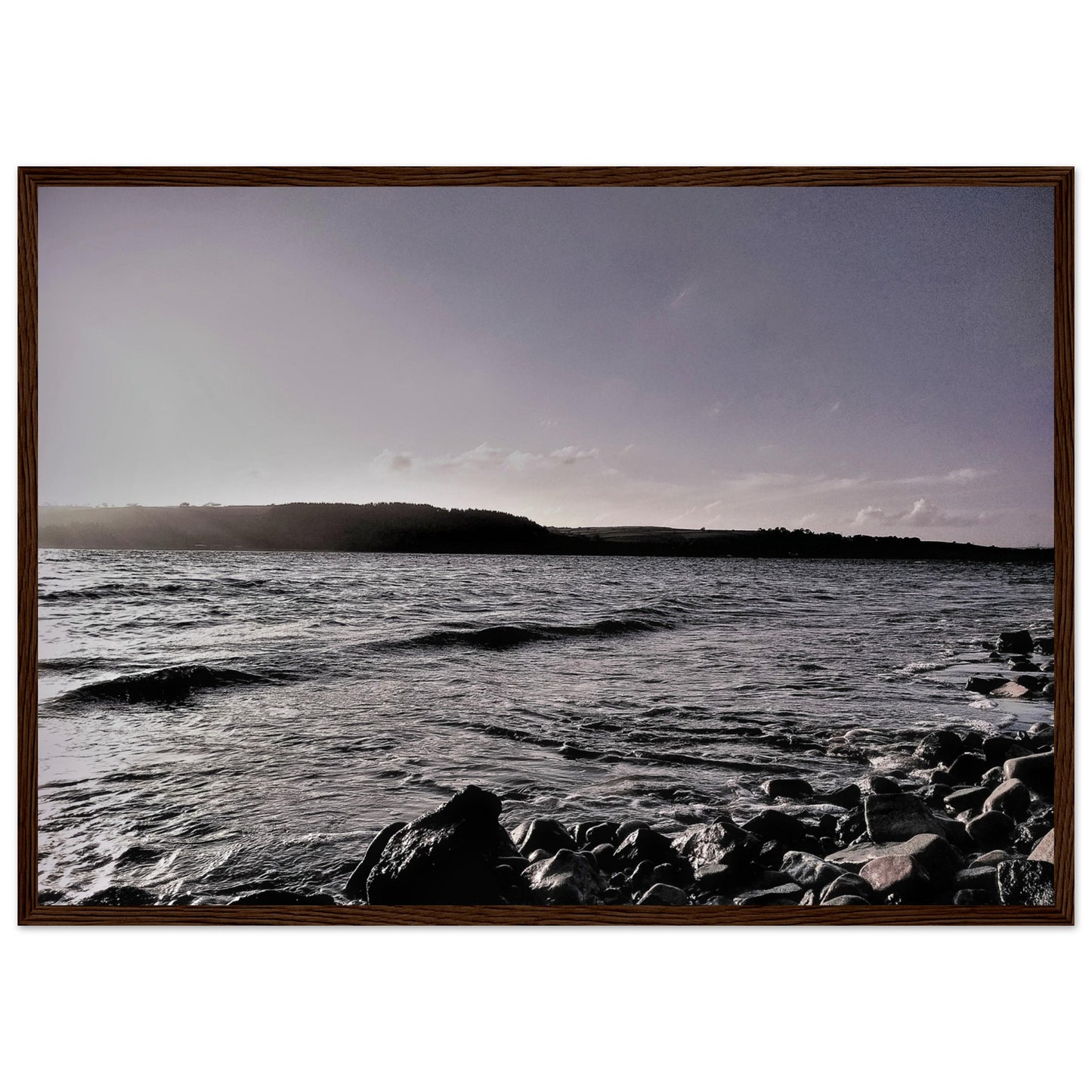 921c3f09-17a4-4669-b391-bd4a7a4d00aa