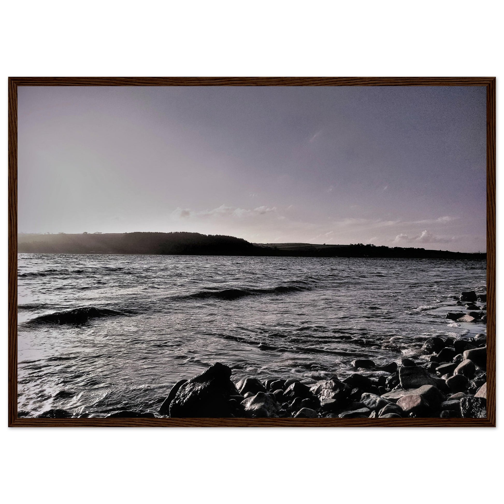 921c3f09-17a4-4669-b391-bd4a7a4d00aa