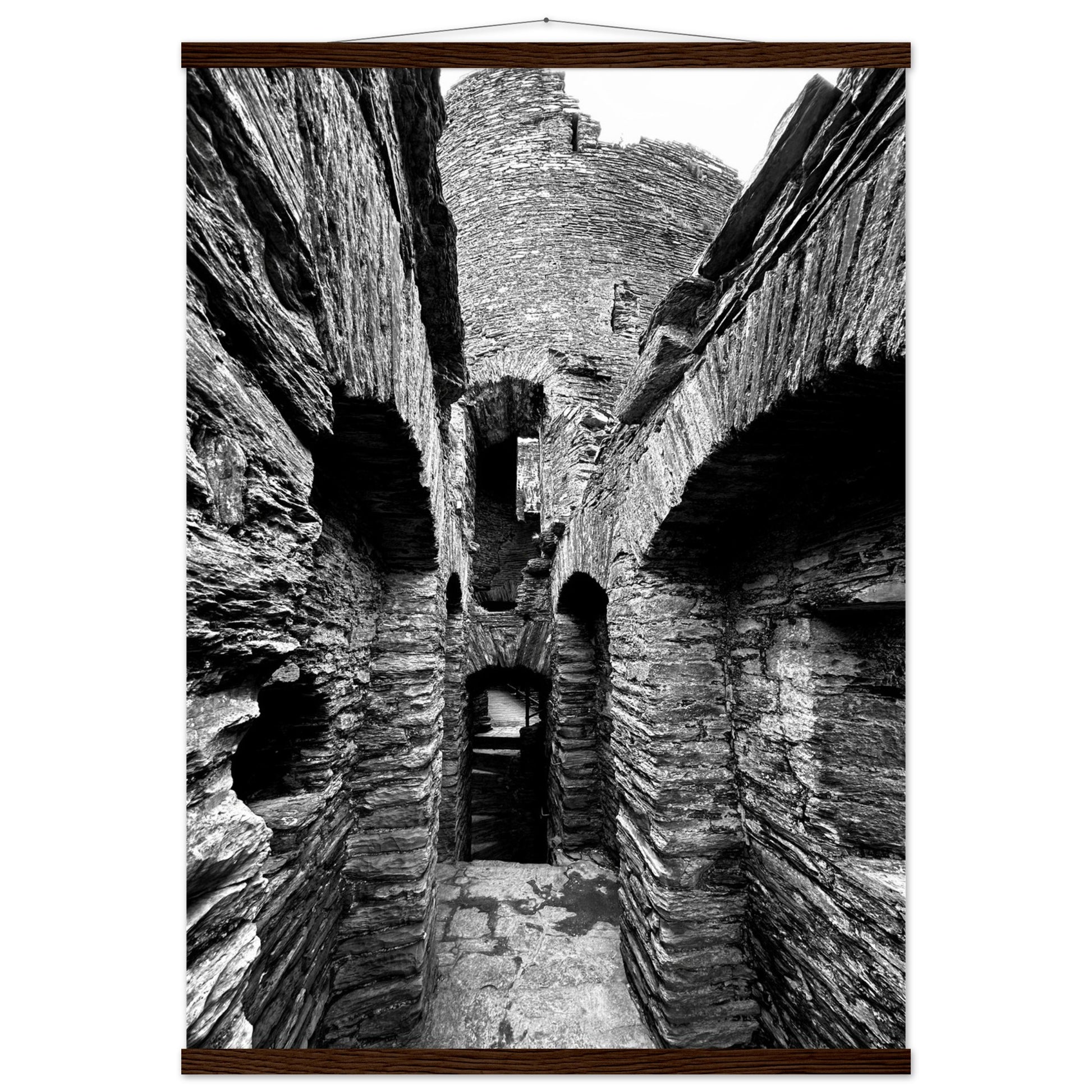 9293531a-ecd8-4ac0-8da9-c71b84ad018c