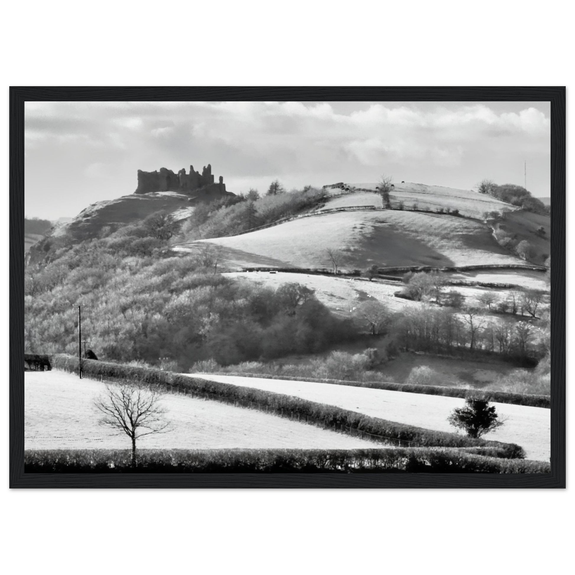 97fb106d-47d2-48ef-953d-0e1bb95a0d12