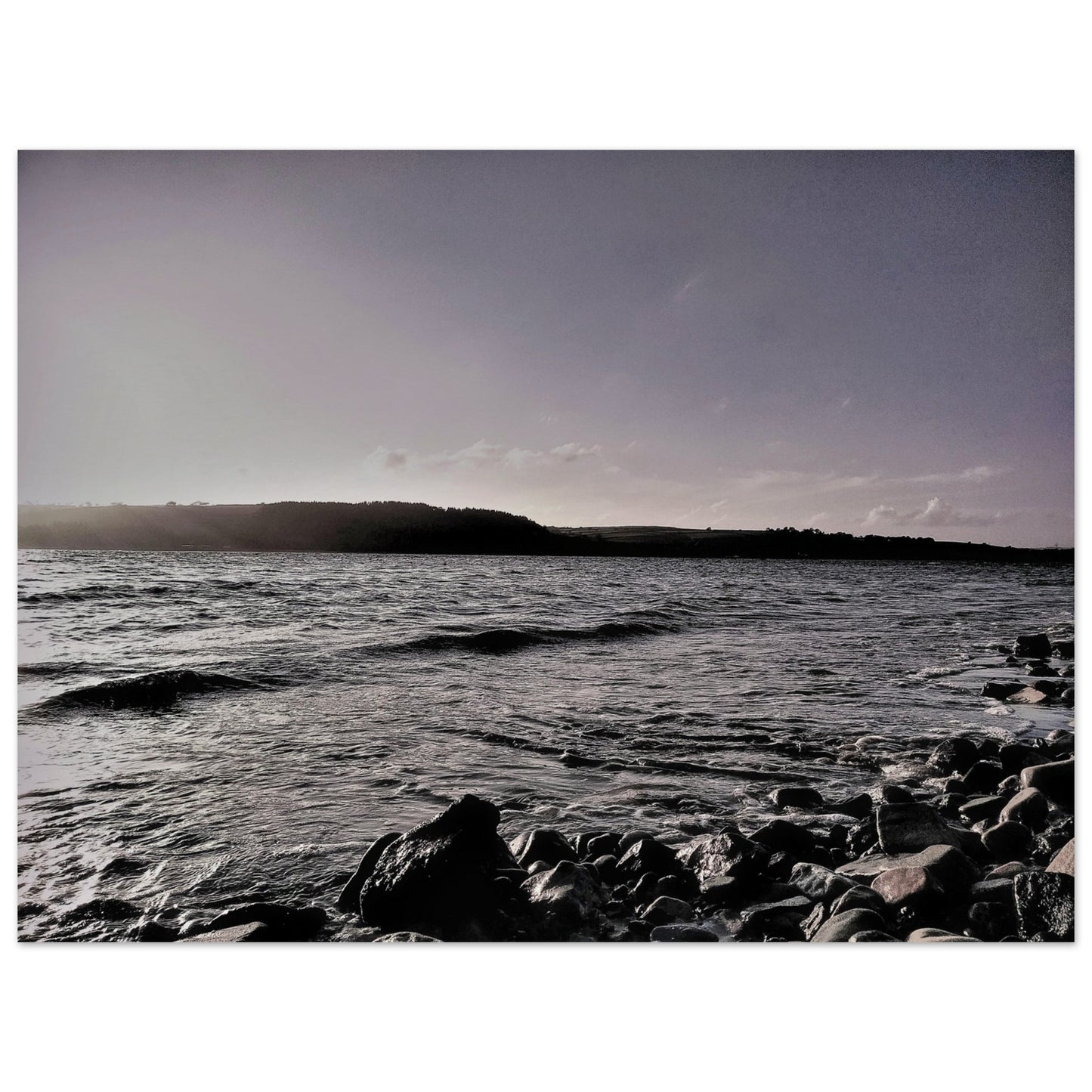 99726483-3517-47f0-a239-a34efb785378