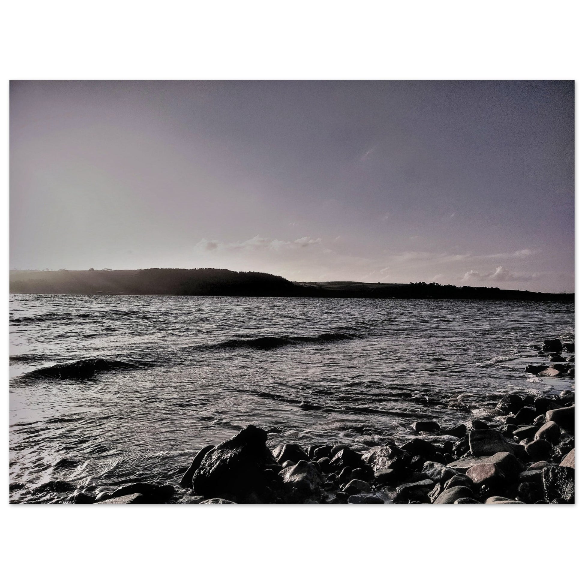 99726483-3517-47f0-a239-a34efb785378