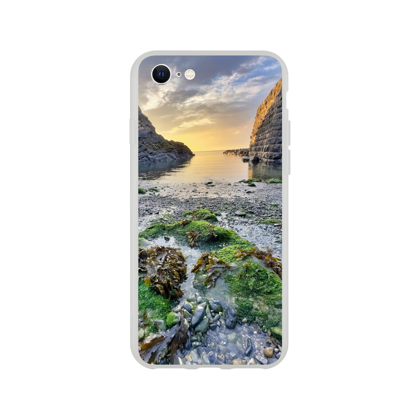 9a9270b1-3e32-4d14-ad8f-d0558da57747