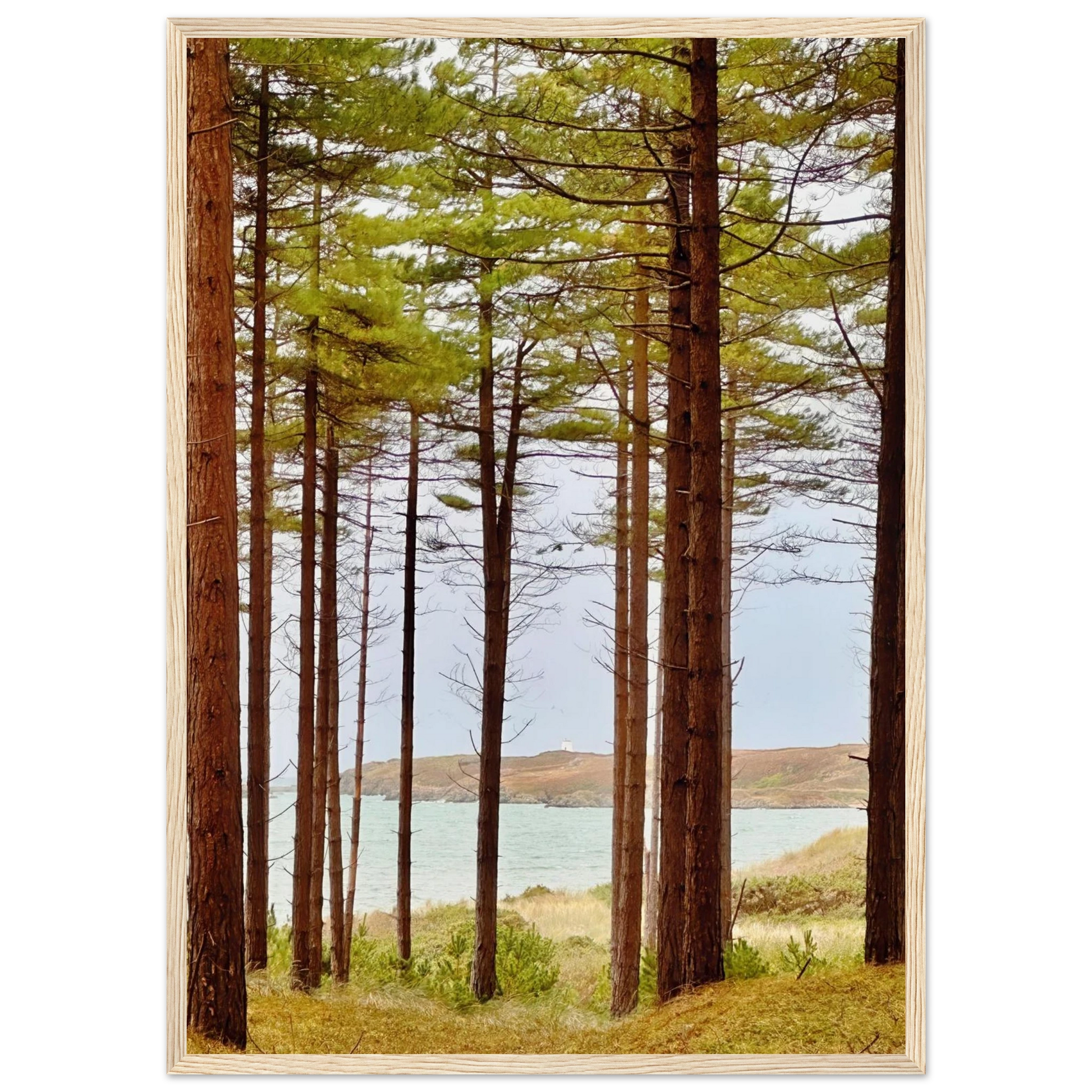 9b38ff5b-94f5-43e6-bacb-c34159ffa21b