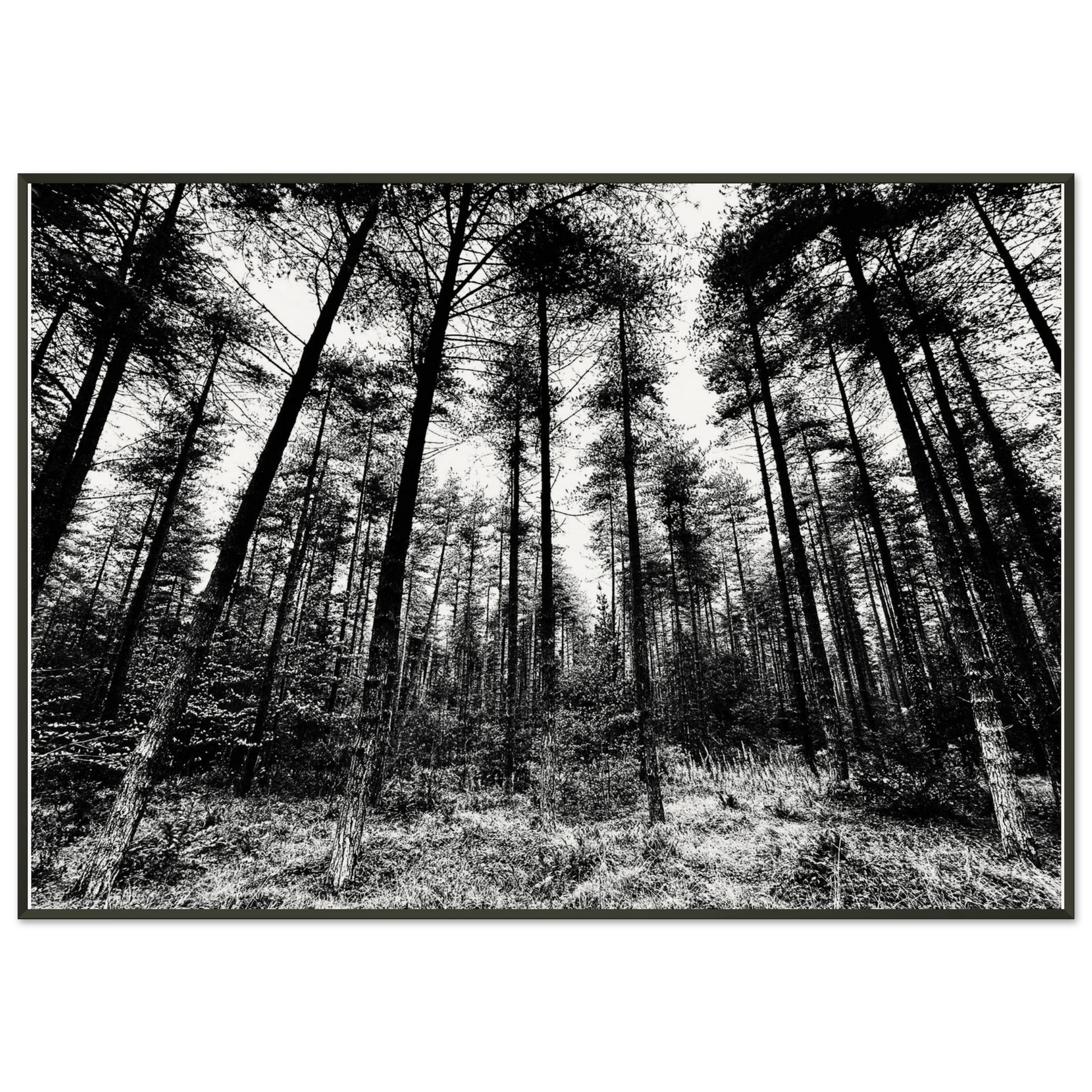 9d21ba3a-474f-4f0e-b801-0cf76c8072b6