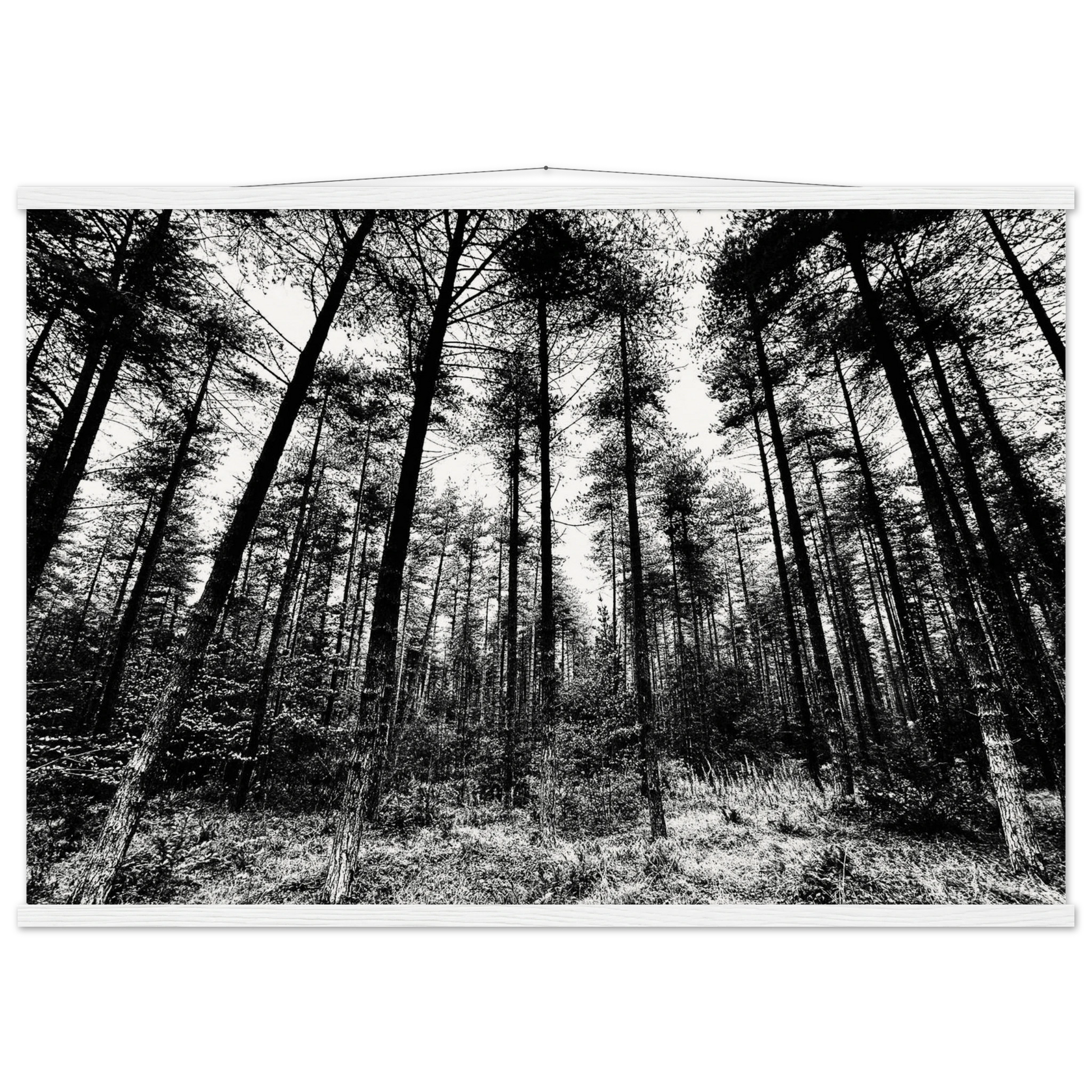 9dc00a9a-ba70-41cf-a048-1d13ff1086f6