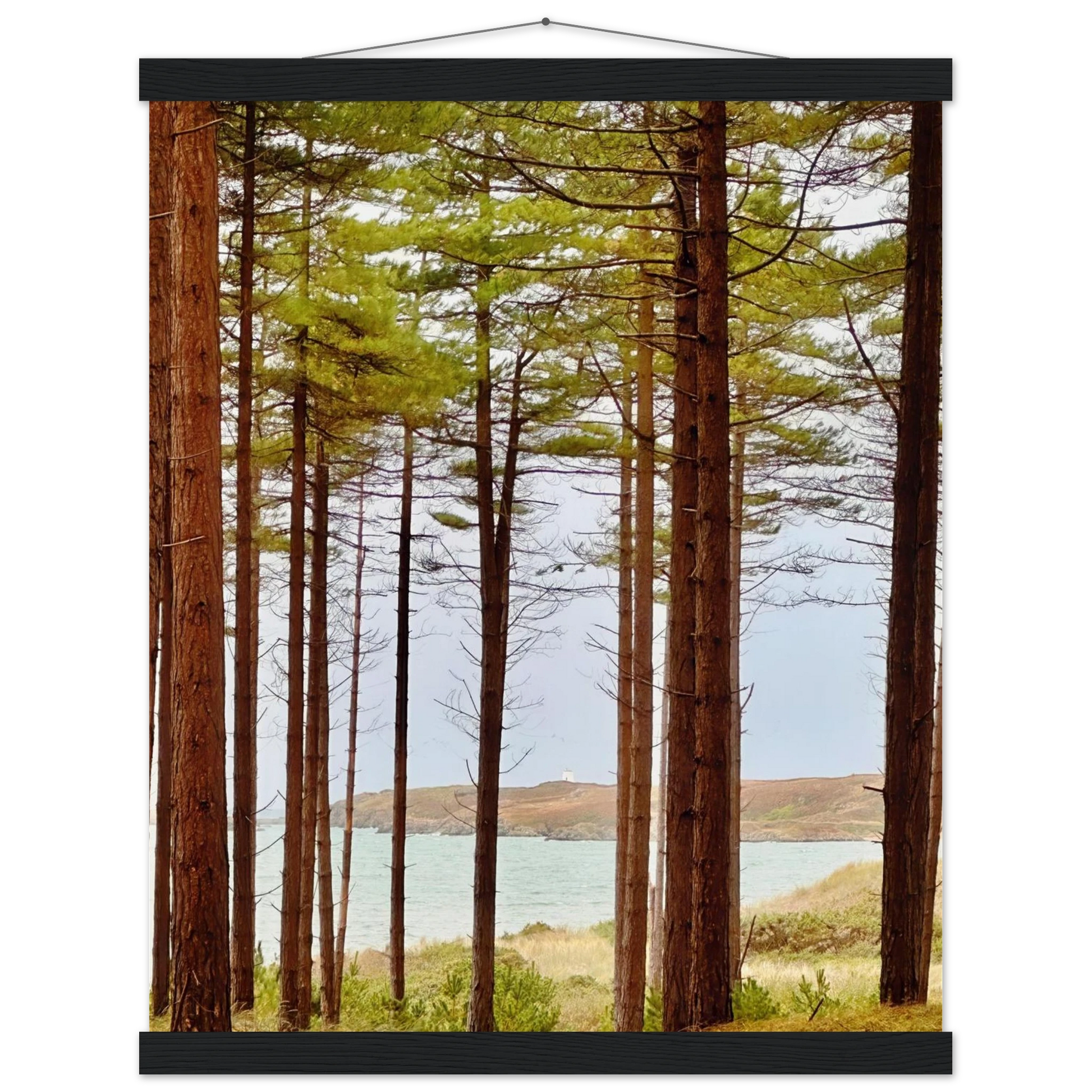 9dc9aa40-2f8e-4750-a264-85ee30e5be99