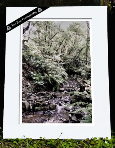 Babbling Brook
