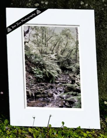 Babbling Brook