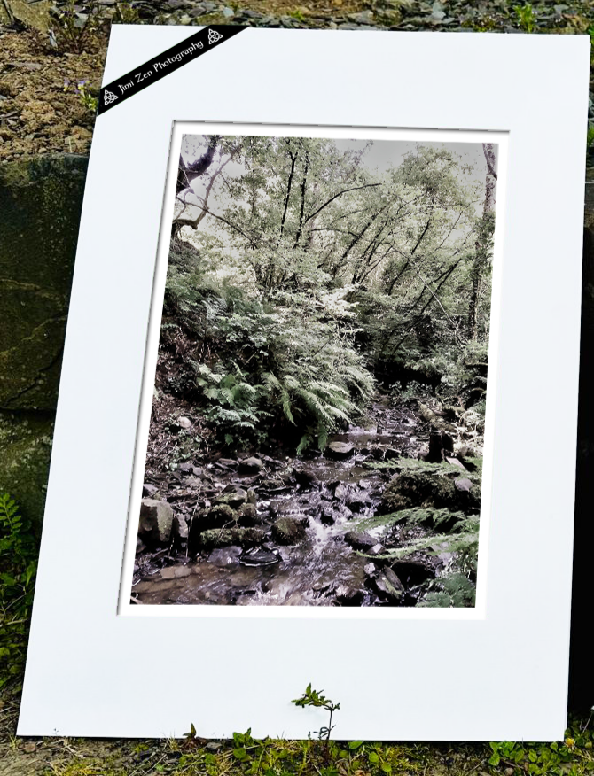 Babbling Brook