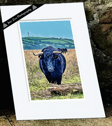 Blue Bull