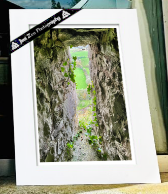 Castle View