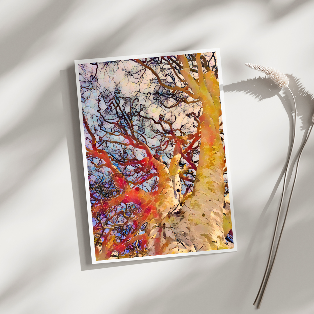 Tree Curls Greeting Card (Blank)