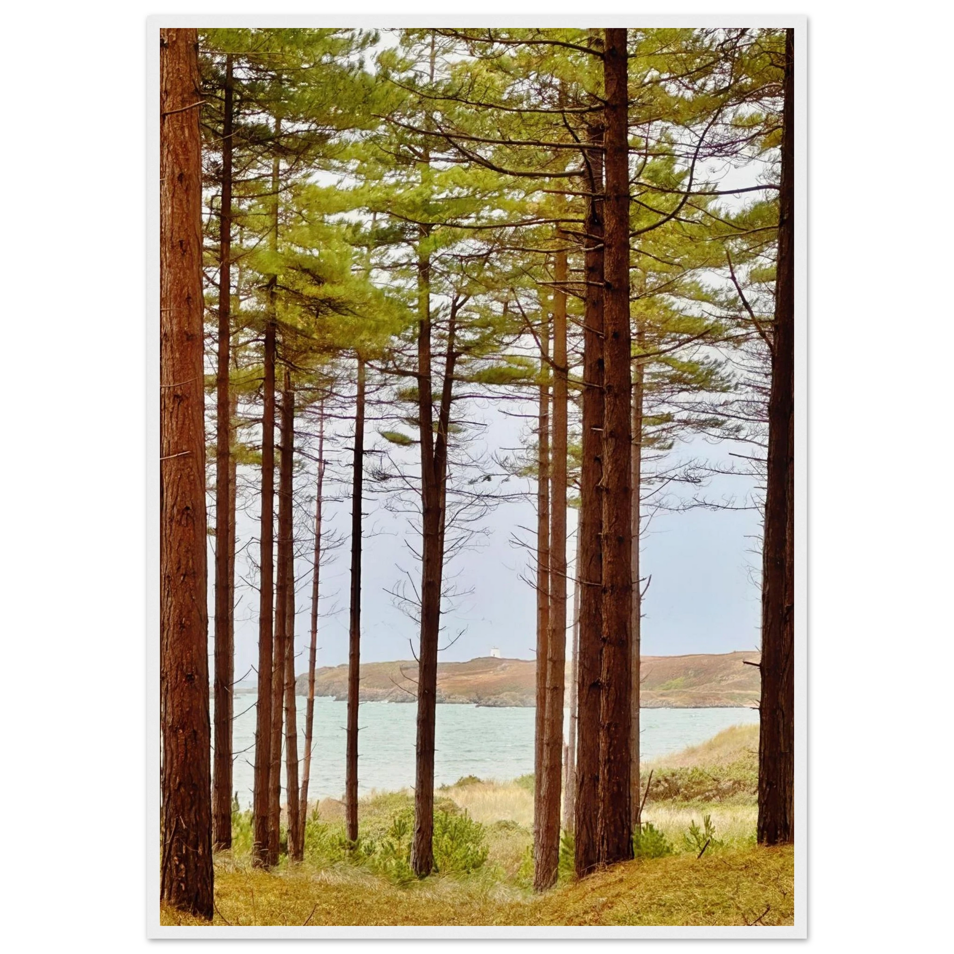 a1d16b0e-24f7-4504-9dc0-4e02d47e2b3a