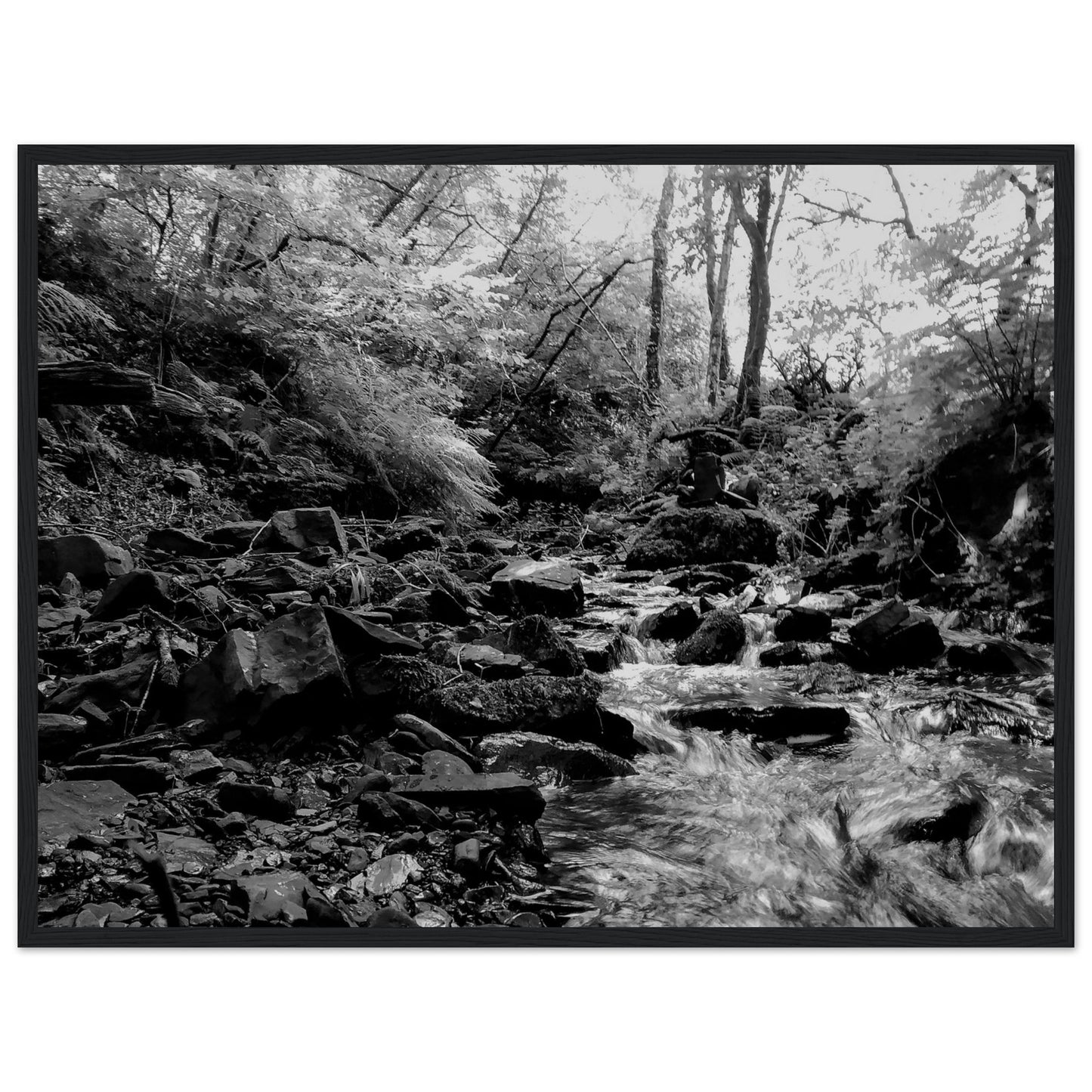 a2629f53-6e4c-49f5-b1ff-7af1235641d4