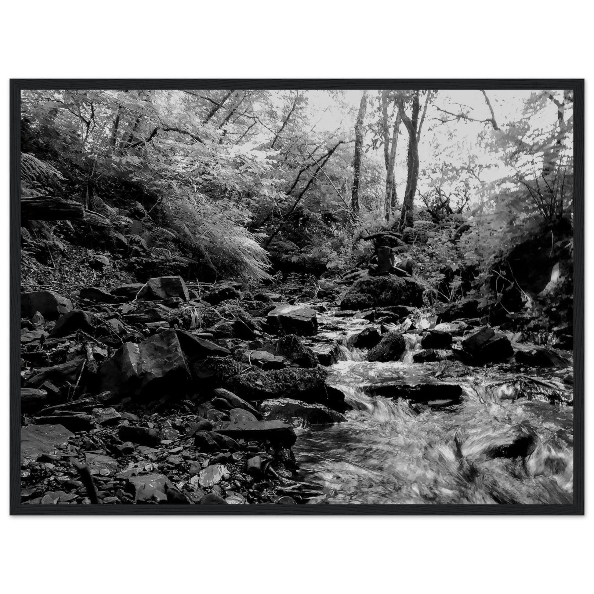 a2629f53-6e4c-49f5-b1ff-7af1235641d4