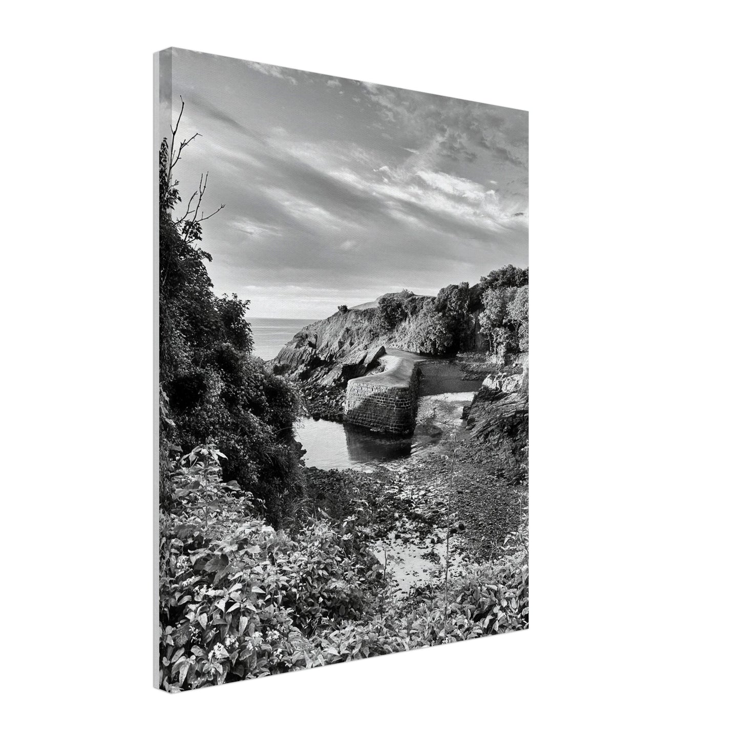 a556fcbb-8319-4de9-93db-84e3ca850895