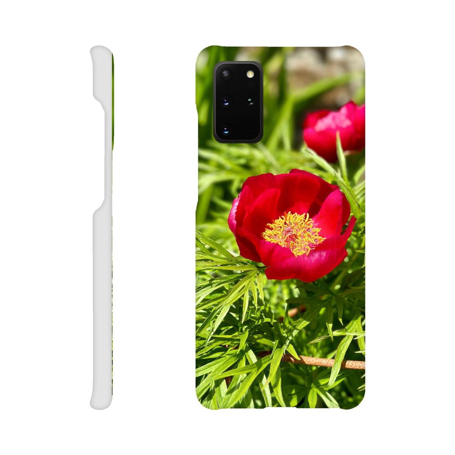 a5ede2fe-c24b-4ab9-8122-1eb29392a2b4