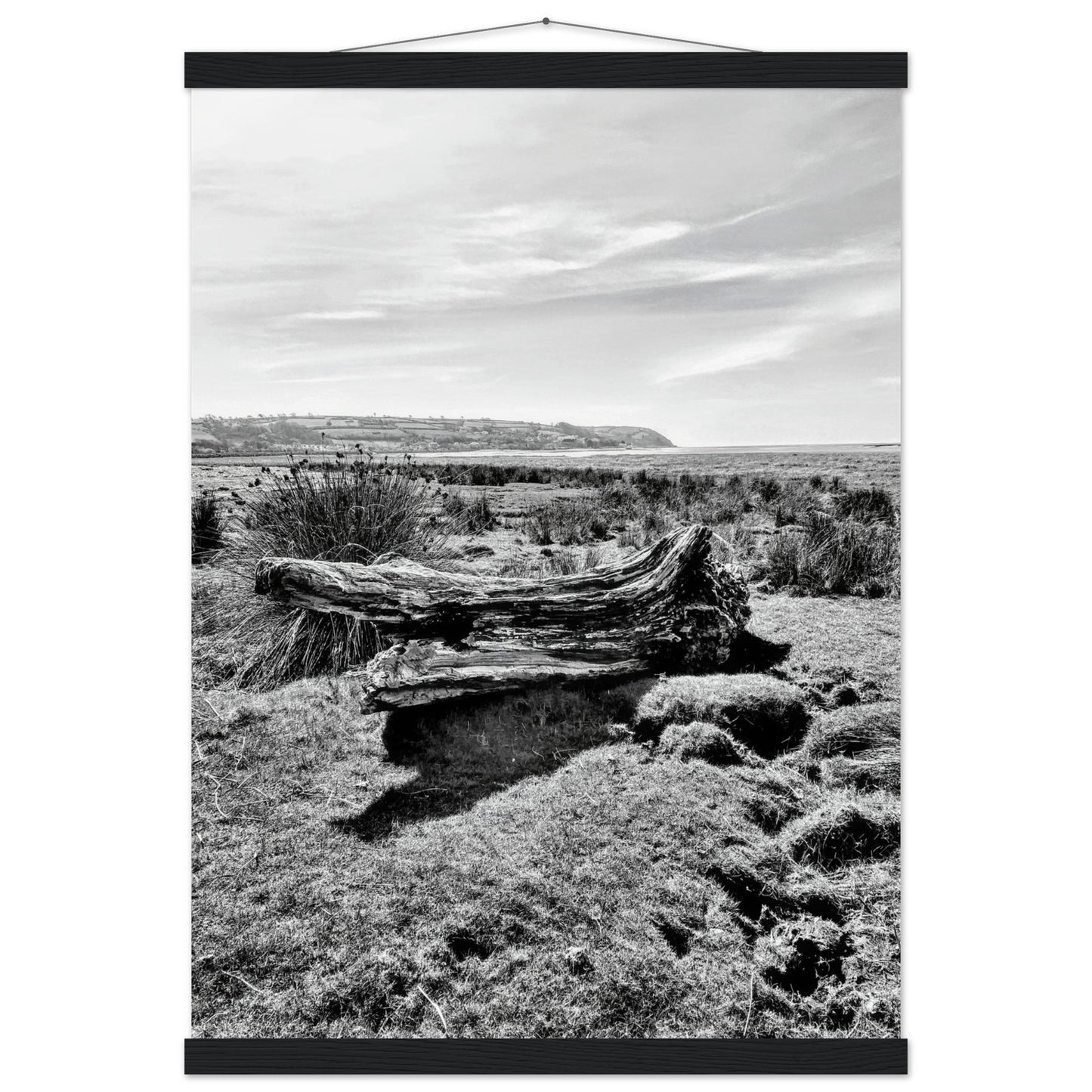 a6789847-c64e-4b87-889b-f68bf622b8ef