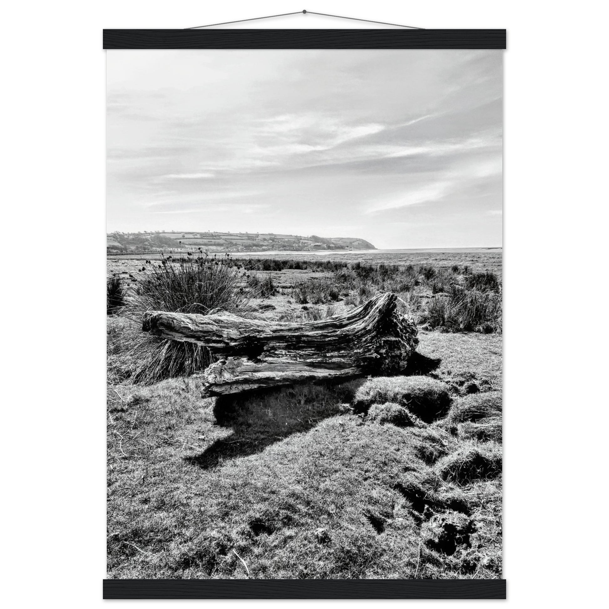 a6789847-c64e-4b87-889b-f68bf622b8ef