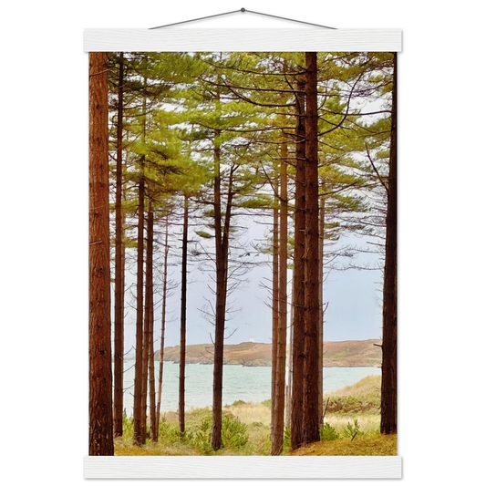 a6fae9ba-9417-42d5-9c4d-d479708ffa35