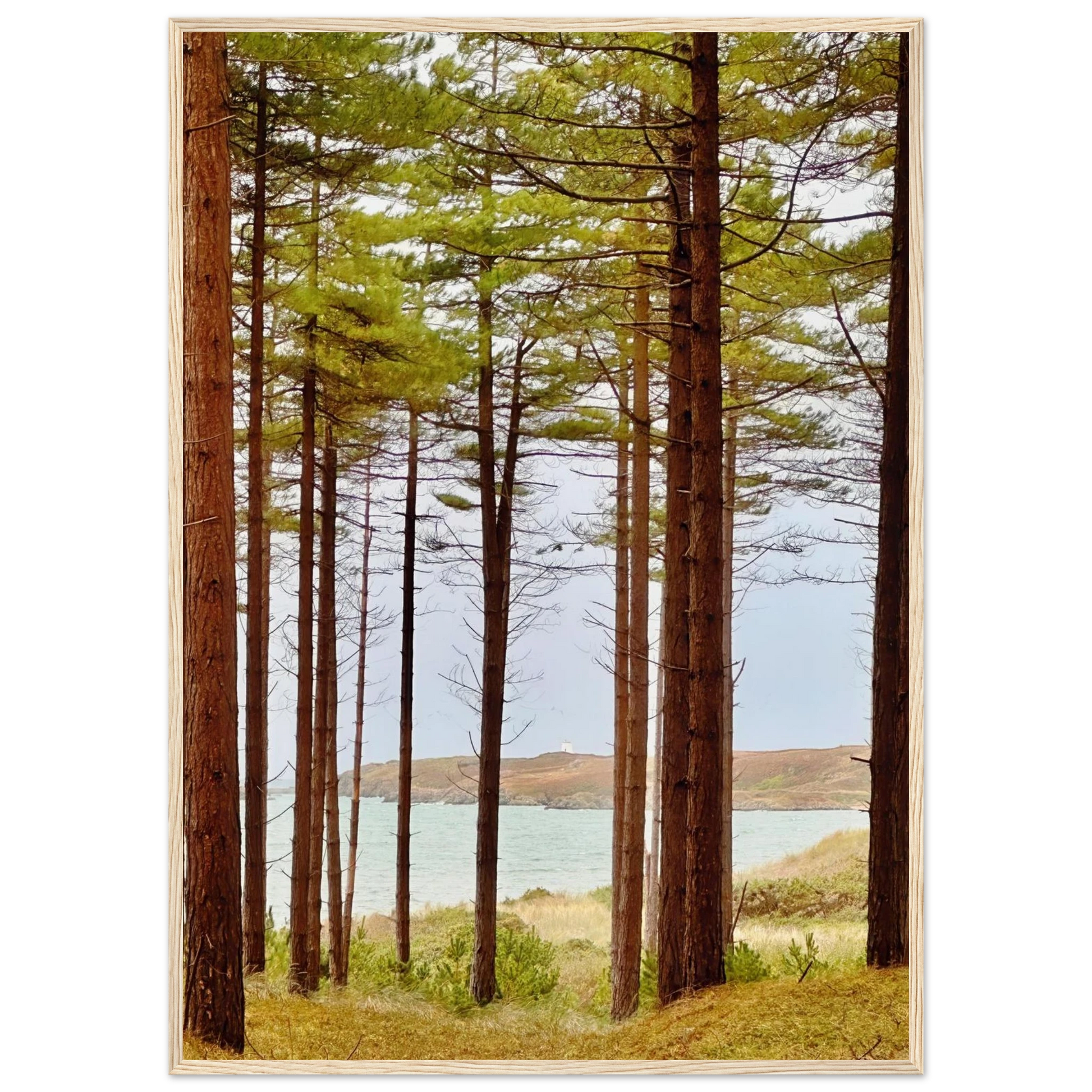 a9bf14ac-d95e-4b41-9415-85d71759e065