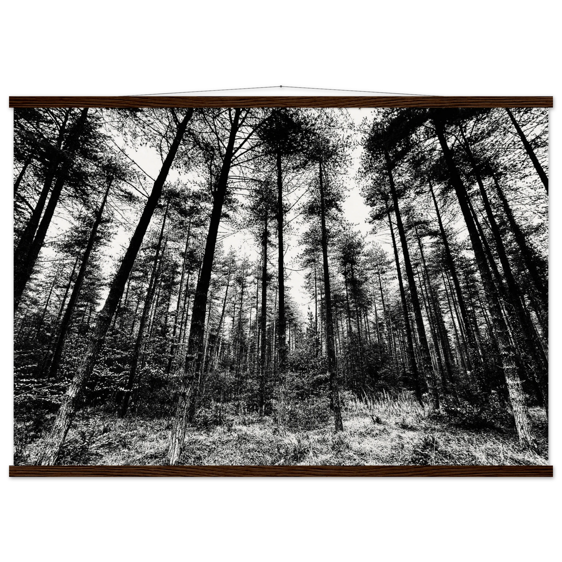 aa6e0183-3492-4f78-8b0d-c4ef135b093e