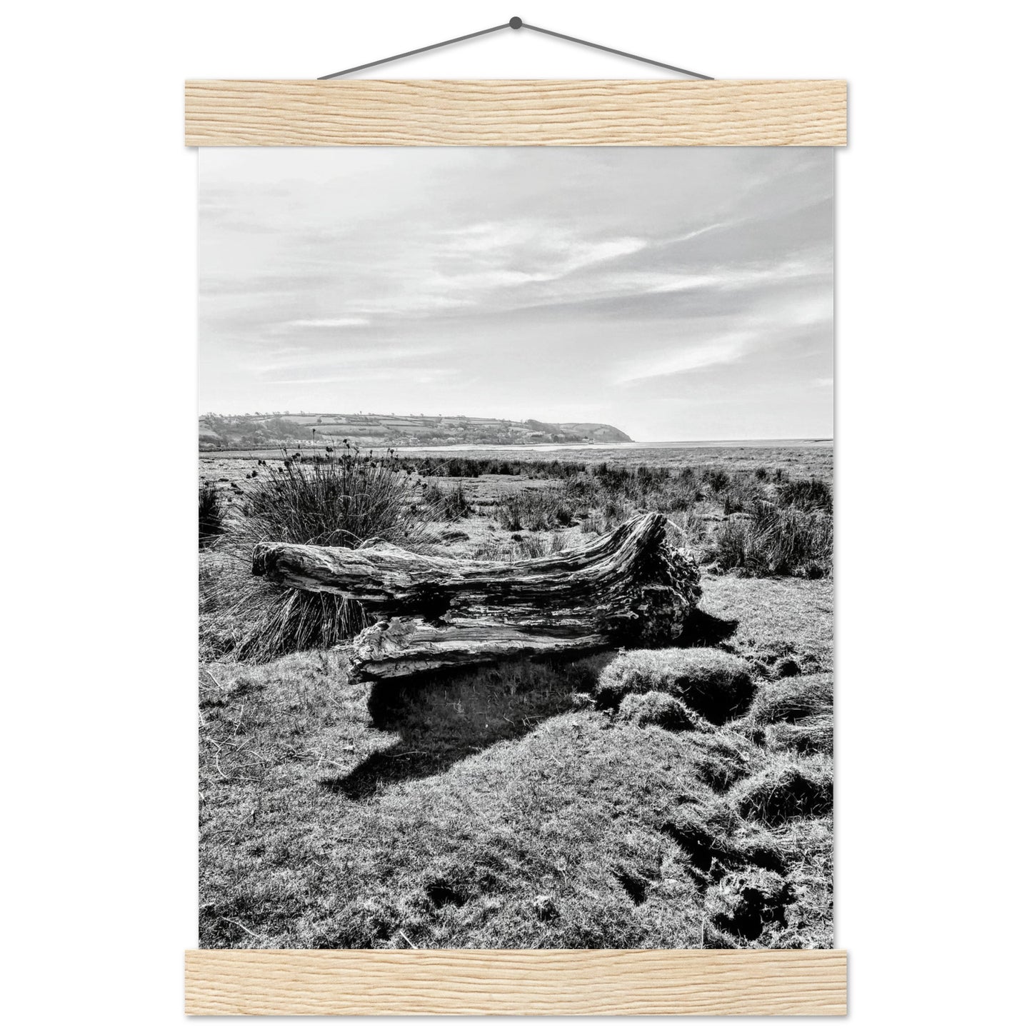 ab155404-bcf2-41b6-a01f-ac46179f0a57