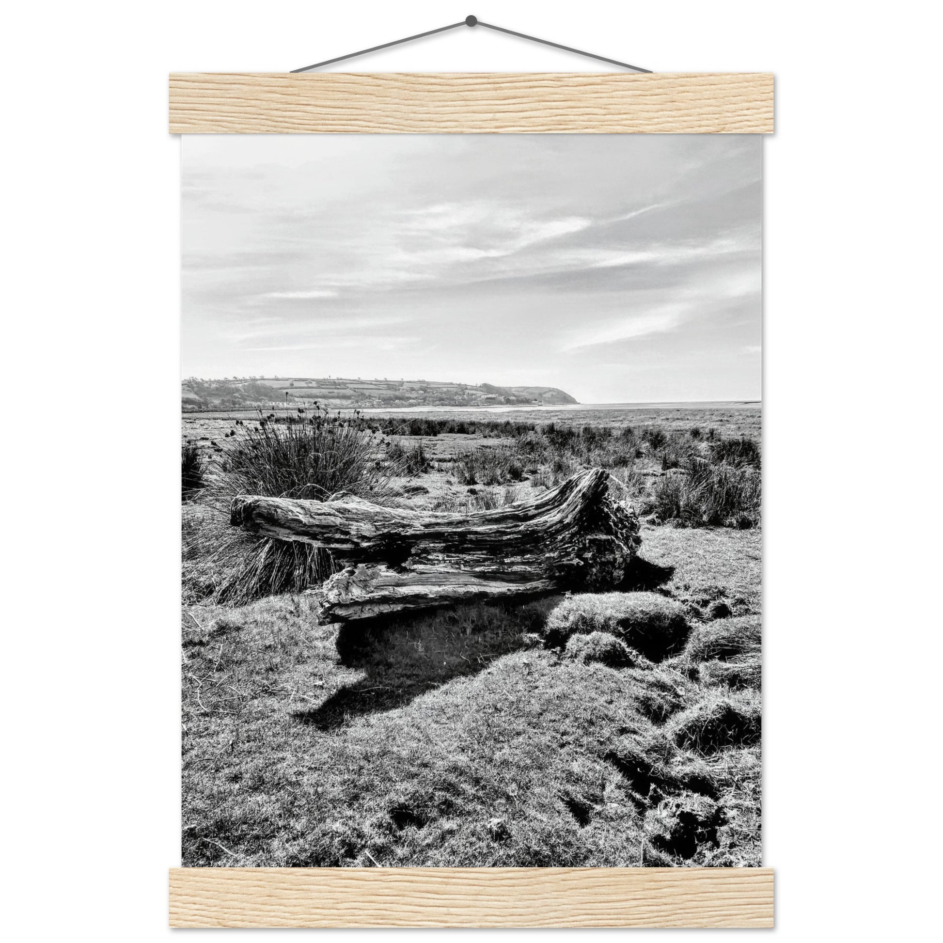 ab155404-bcf2-41b6-a01f-ac46179f0a57