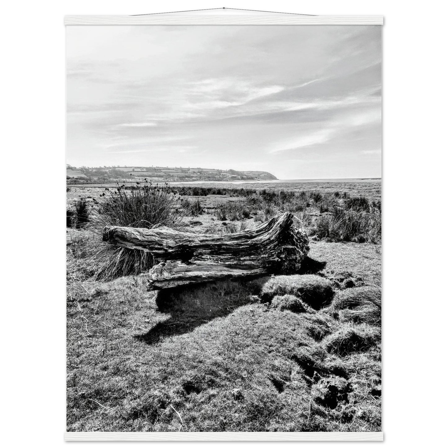 ab6fc876-ebf0-47dc-b5d5-ec04b355ad2b