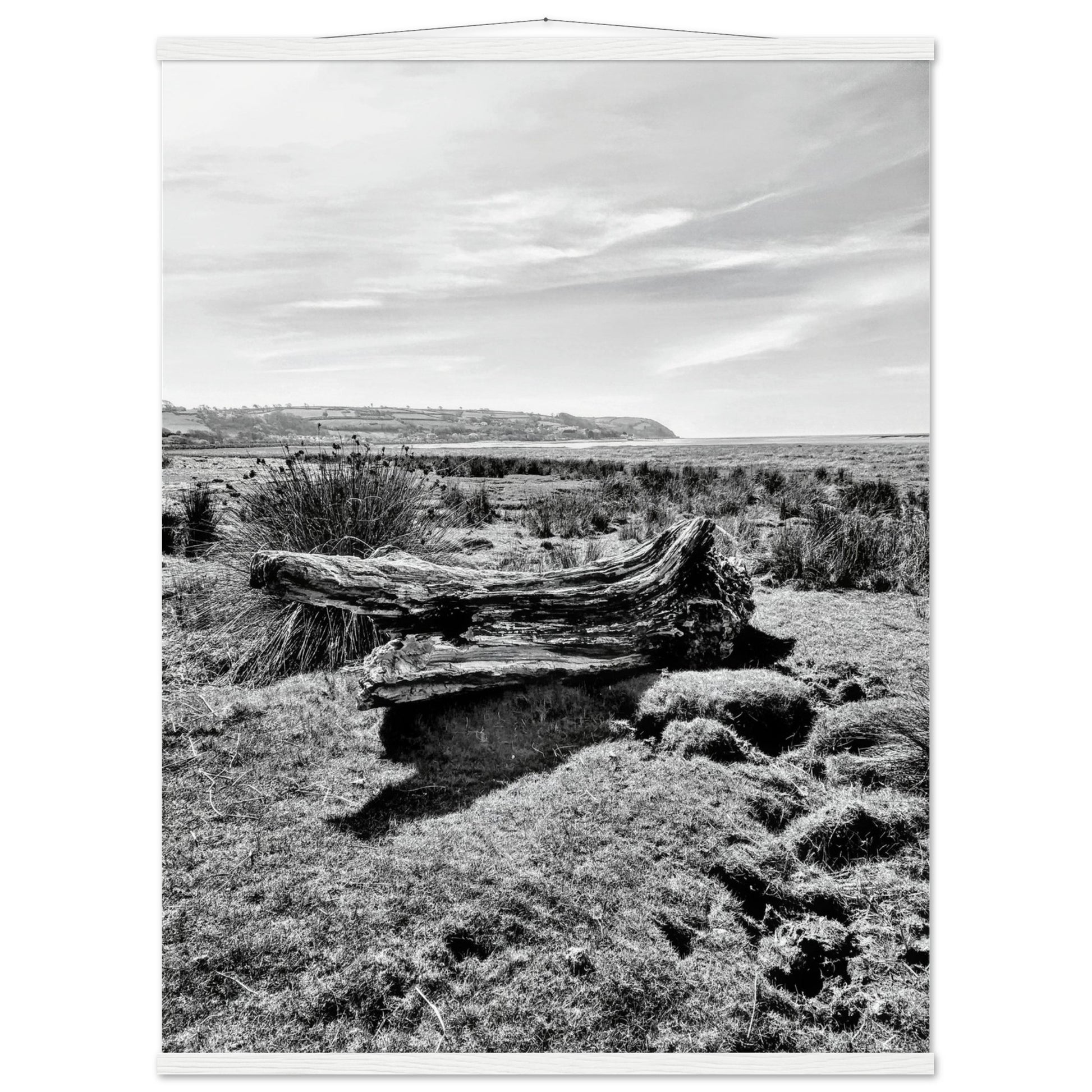 ab6fc876-ebf0-47dc-b5d5-ec04b355ad2b