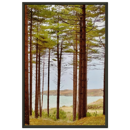 abb0c984-2f8b-40d7-b3b6-acac734cbf15