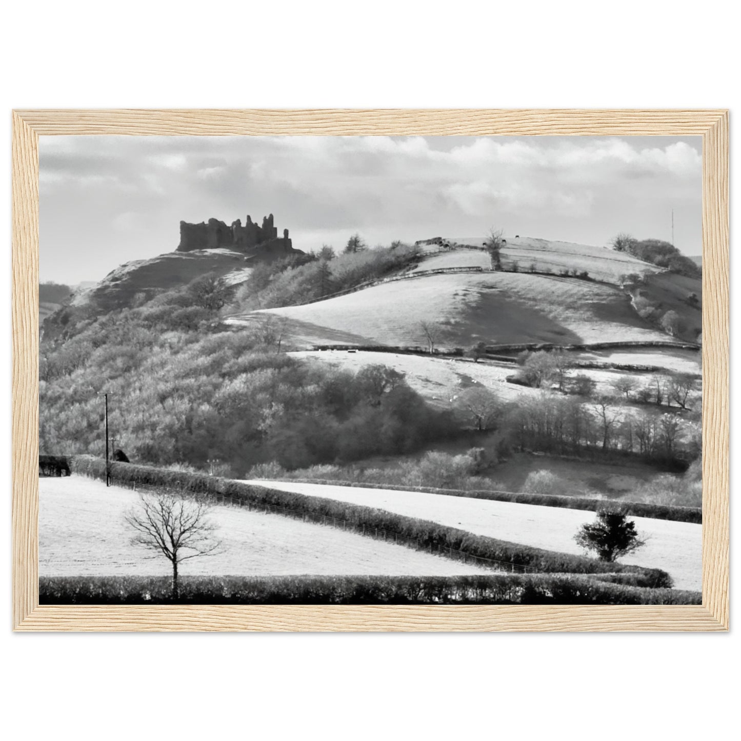 ac5c8131-3f2f-4391-93c3-f000e1377dac