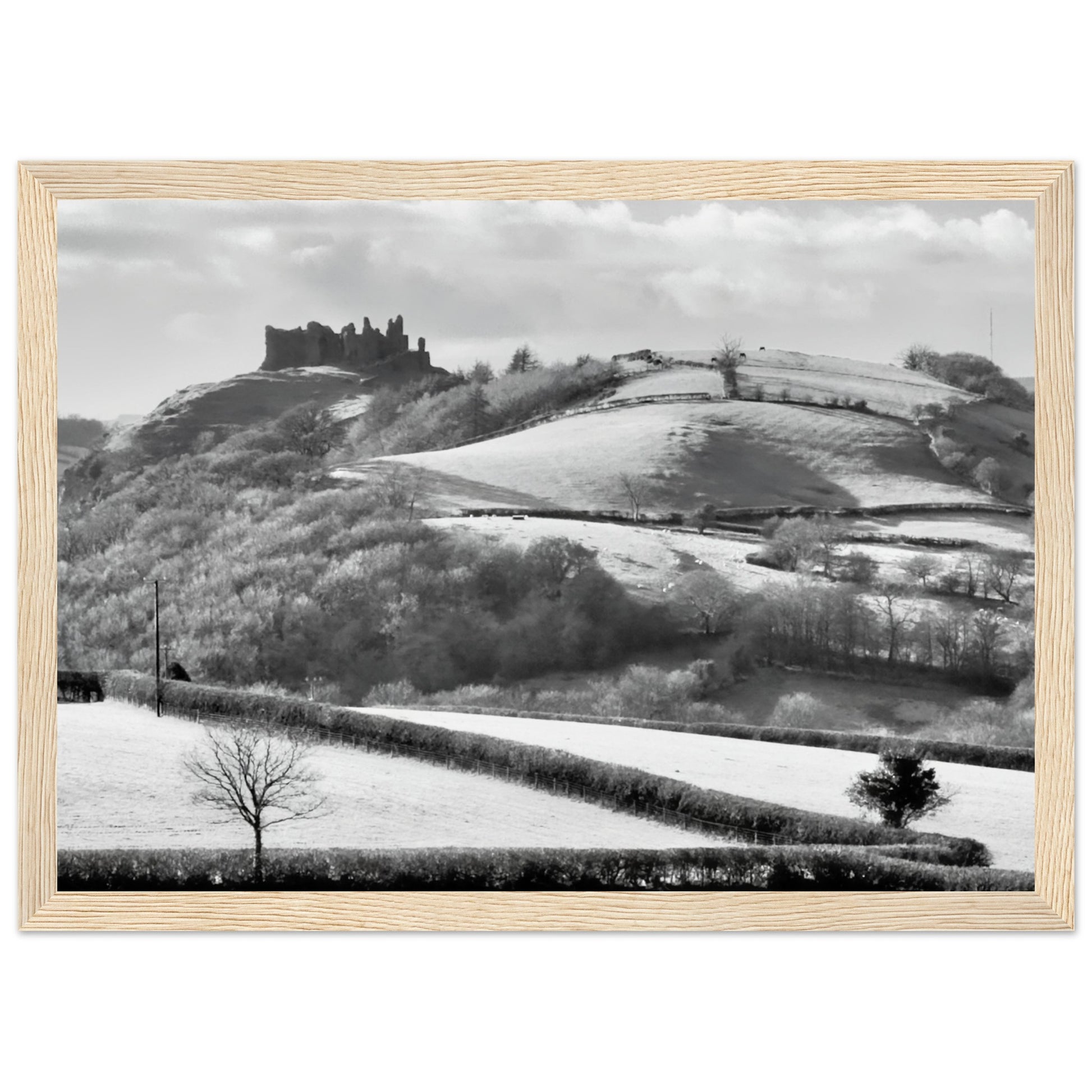 ac5c8131-3f2f-4391-93c3-f000e1377dac