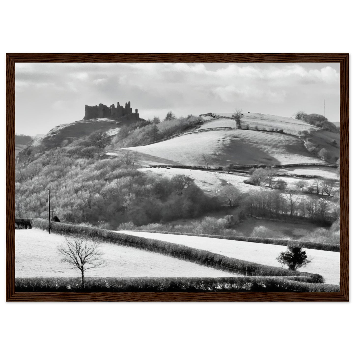 af05dffa-854c-4018-bc34-c9229e06c89d