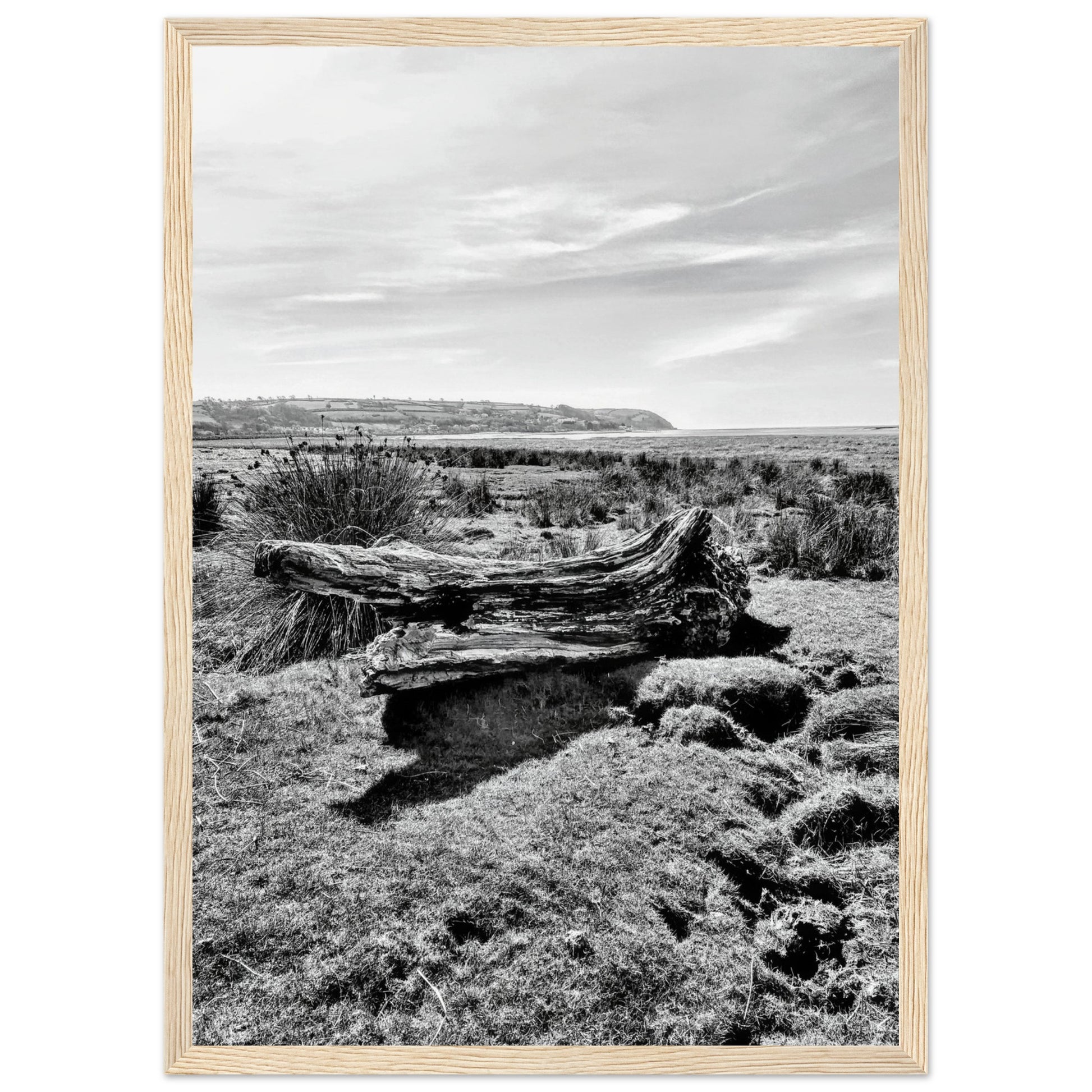 af80ae5b-bde9-4221-a8e7-360c0228b2d3