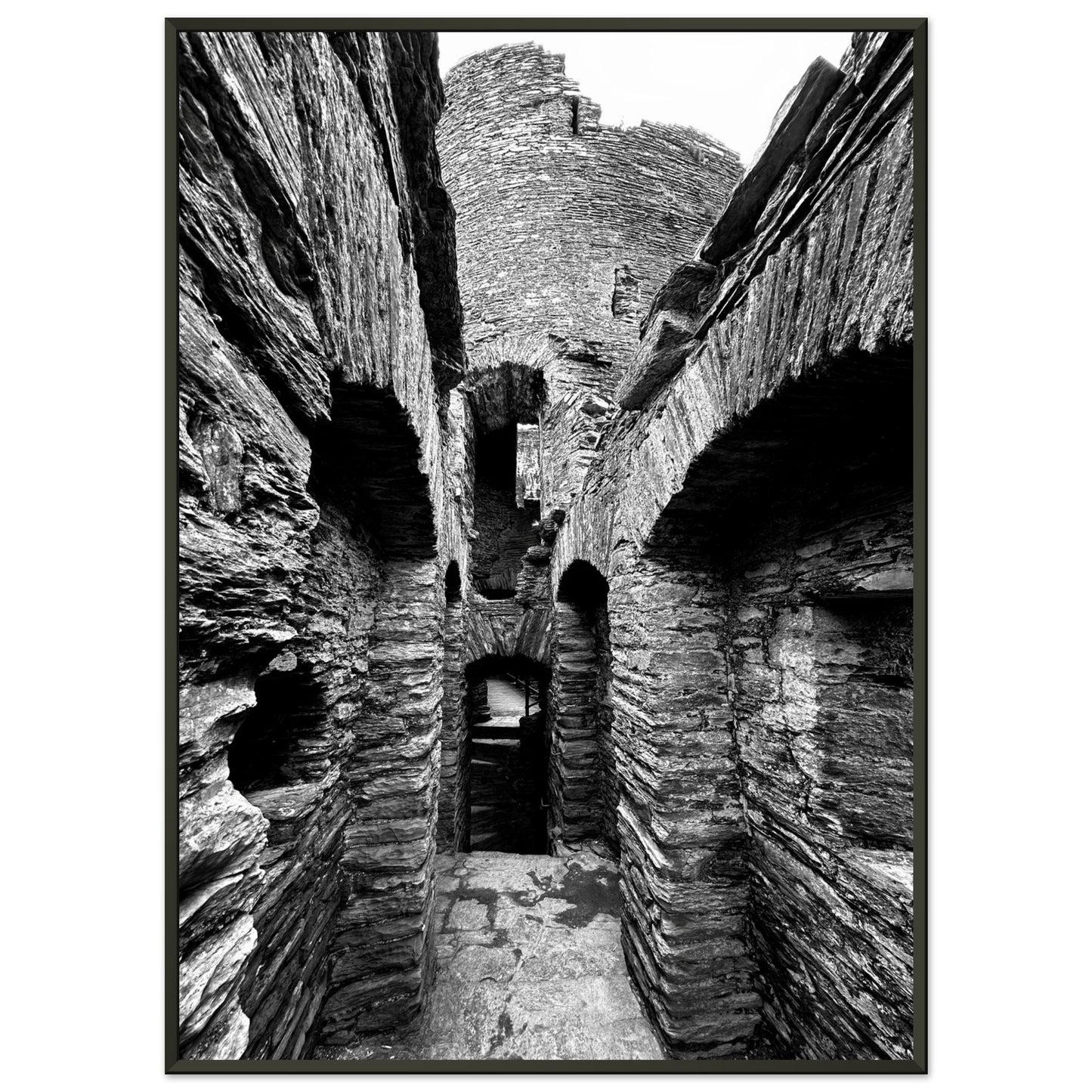 b09d4a48-6825-4d32-8b5a-bf6184bd8dc7